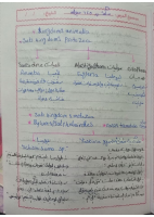 DOC-20221111-WA0156..pdf
